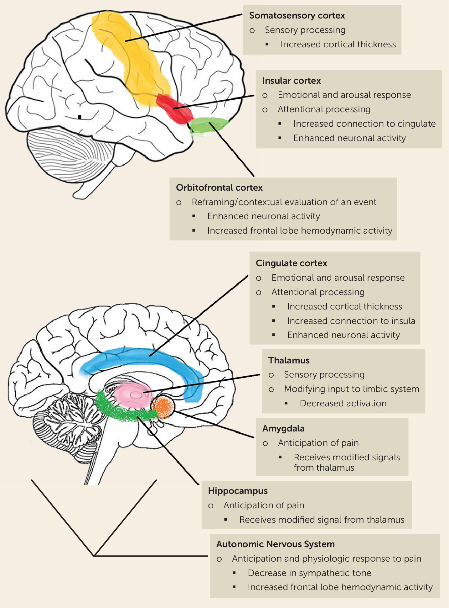 Neurological Evidence of a Mind-Body Connection: Mindfulness and Pain ...