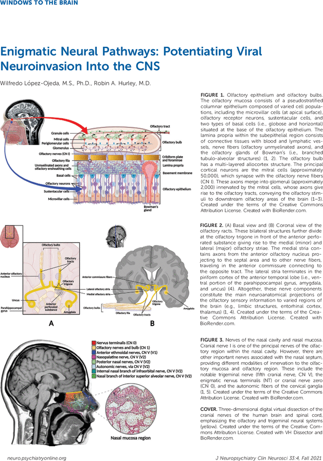 First page of PDF